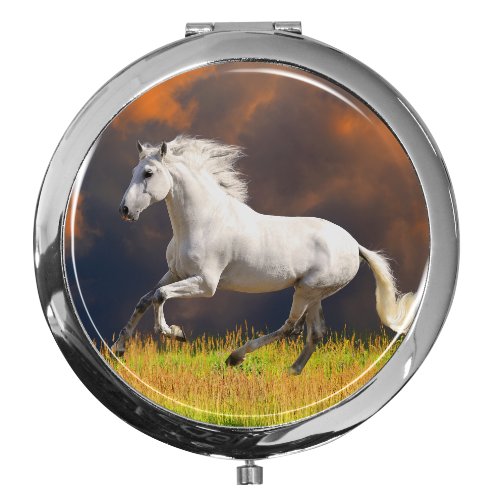 metALUm Miroir de poche / Cheval / Double agrandissement code EAN 4260354784117 