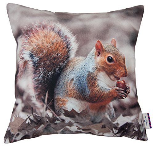 564264 housse de coussin coton nature 43 x 43 cm 4260355797925 Tom Tailor