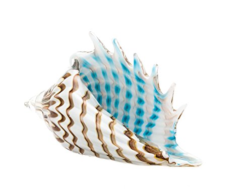 Coupe en forme de coquillage - style verre de M...