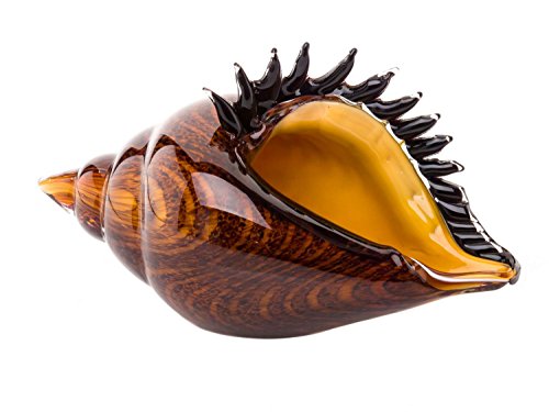 Coupe en forme de coquillage - style verre de M...