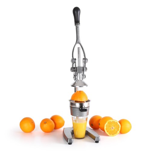 Ecojuicer xxl - presse à fruits à levier mécani...