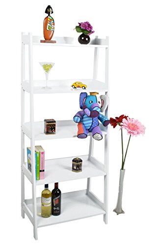 Style campagnard rayonnages en blanc échelle bi...