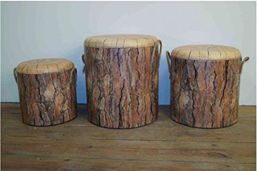 SET de sitztruhen rindenoptik sitzdeckel amovible