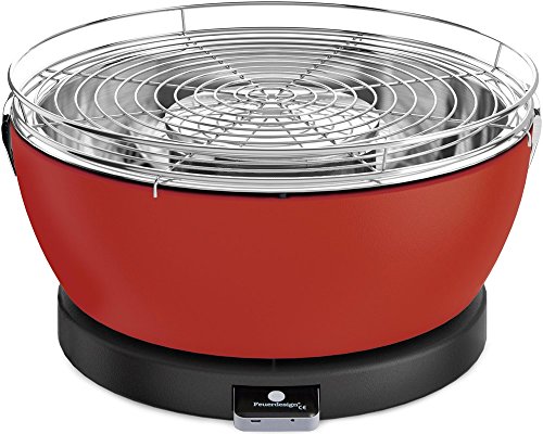 Feuerdesign feu Design 4260429920419 Grill et pince à barbecue 4260429920037 (4260429920037)