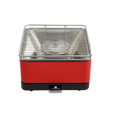 Feuerdesign feu Design 4260429920136 Grill et pince à barbecue 4260429920136 (4260429920136)