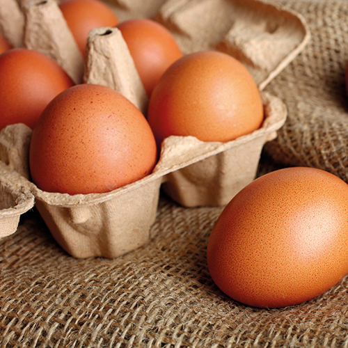 DOMAINE DE PORTES 12 ŒUFS DE POULES ÉLEVÉES EN PLEIN AIR code EAN 4320091 