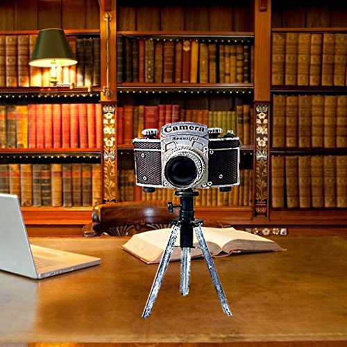 Décoration Fer Caméra Manuel Feuille Décoration...