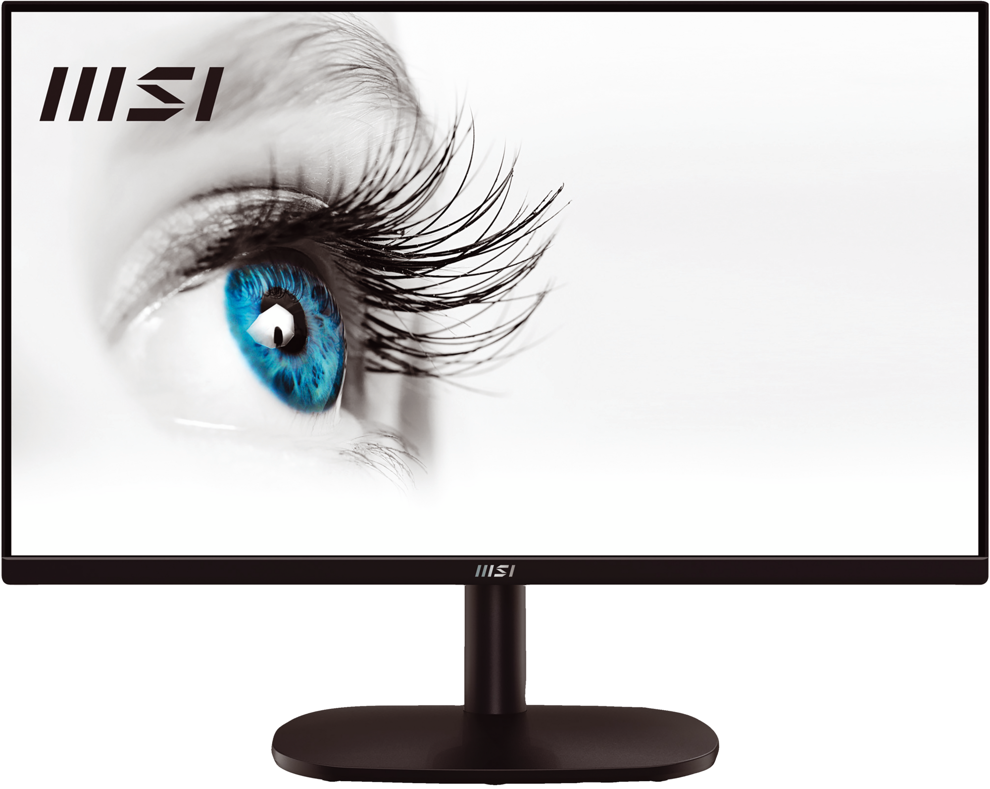MONITEUR PRO MP245V