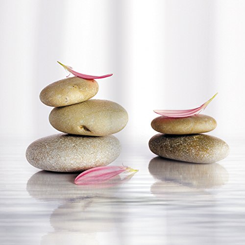 Tatkraft Stone garden rideau de douche 180x180cm matériel impermeable peva avec 12 anneaux code EAN 4742943014473 