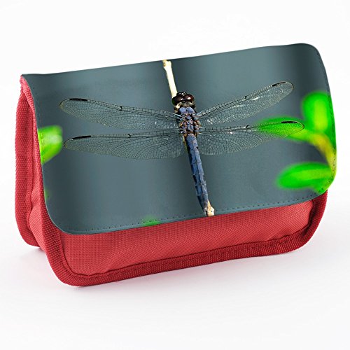 Animaux 10007, Libellule, Rouge École Enfants S...