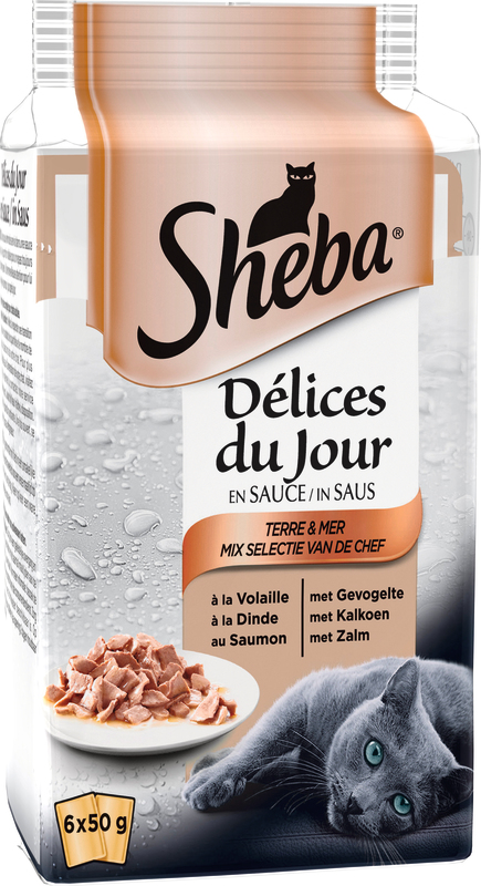 DÉLICES DU JOUR SACHETS FRAÎCHEUR TERRE ET MER ...