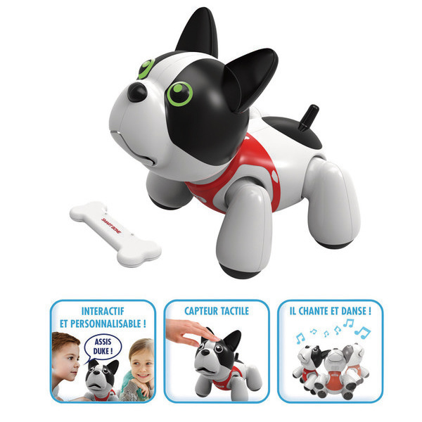 Duke le chiot intéractif