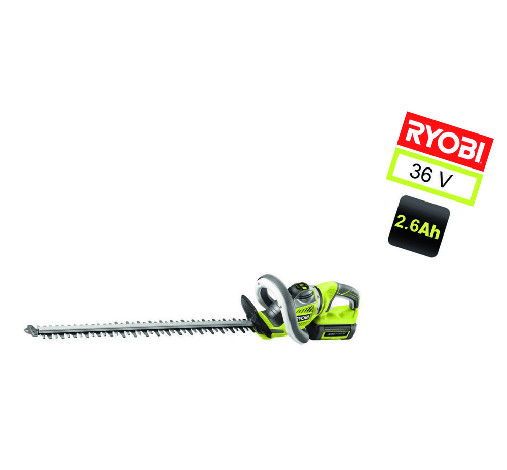 TAILLE-HAIES À BATTERIE (1)