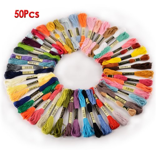 SODIAL (R)50 echevettes de Fil pour broderie po...