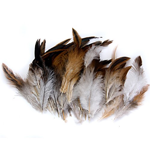 naturel plume de coq Coq Décoration - Idéal pou...