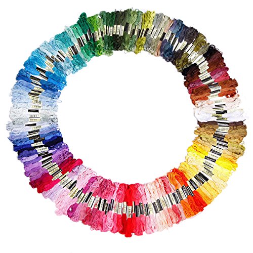 150 echevettes de fil multicolore pour point de...