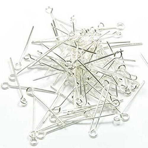 Lot 250-en-1 clous tete ronde 25 mm argente