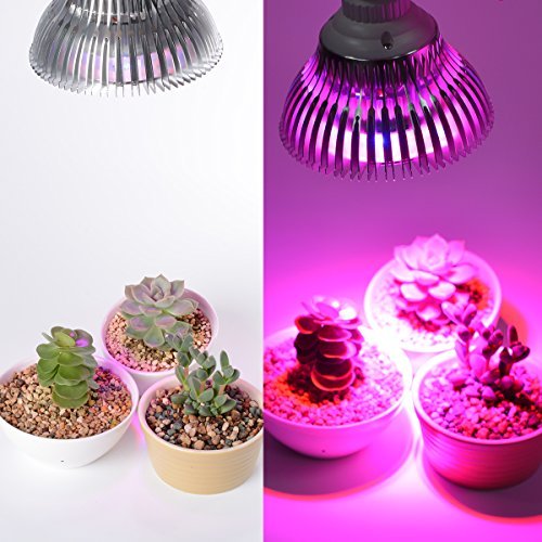 Ampe horticole lampe plante lampe de croissance...