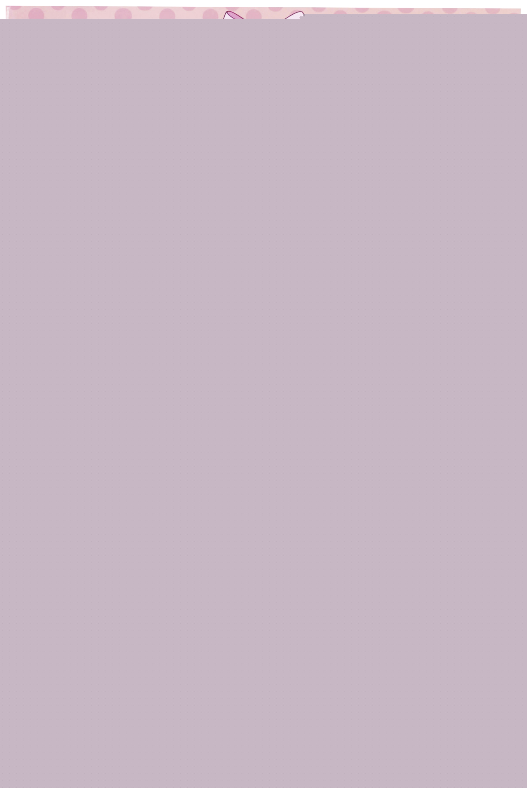  Poupée ballerine de 80 cm avec un costume de ballerine  code EAN 4895167983435 