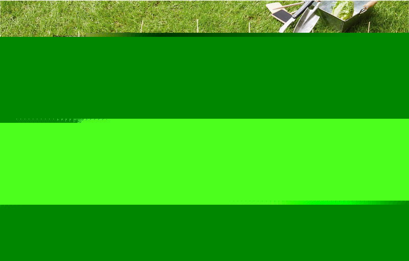  FILET DE PROTECTION OISEAU 2 X 5 M  code EAN 4897030033193 