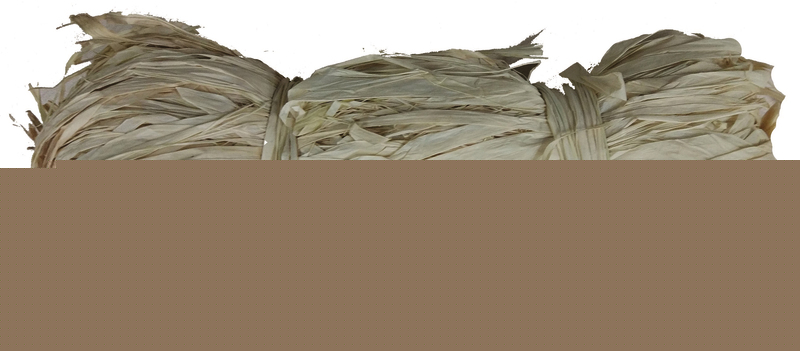  ACCESOIRES DE JARDIN  code EAN 4897030039560 