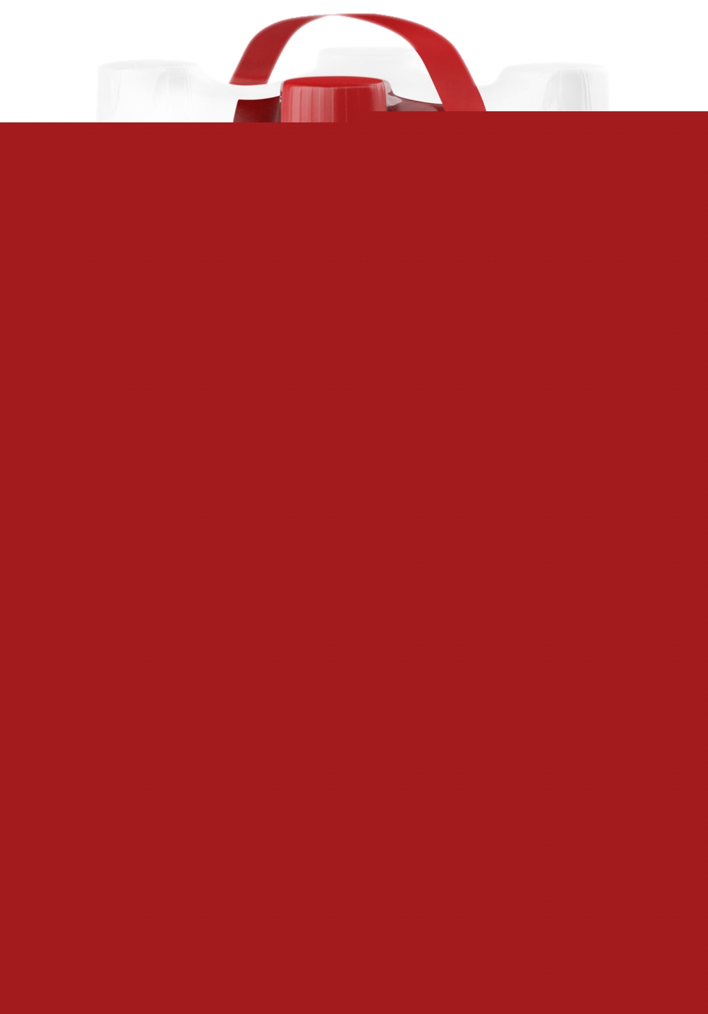 Boisson gazeuse standard Coca-Cola