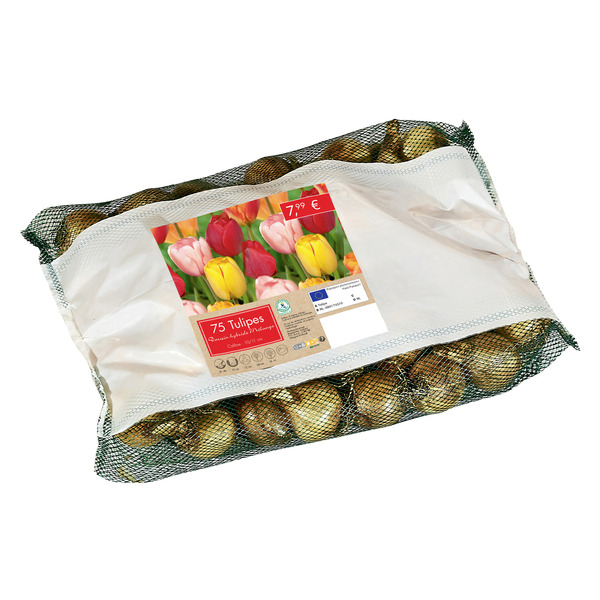 Bulbes Tulipes 5000448755031 