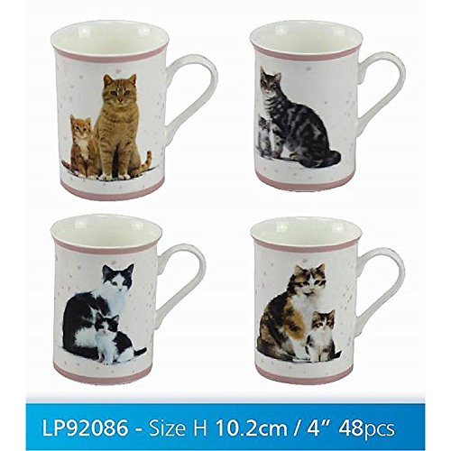 macneil Tasse studio collection chats