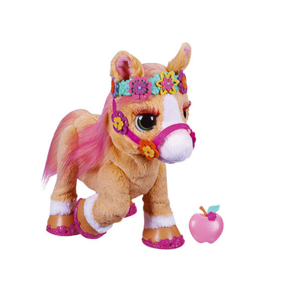 Cannelle mon poney coquet