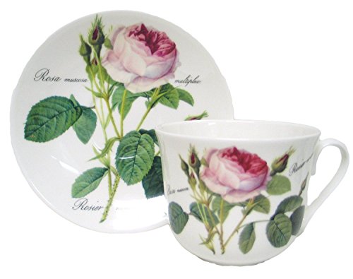 Redoute rose chatsworth cup & saucer in fine bo...