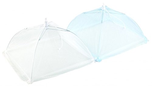 30,5 cm pour aliments avec bordure, bleu/blanc