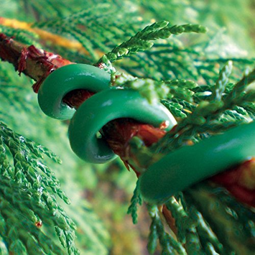 Garden - 1 x Thick Twist Plant Tie - 4.8metres ...