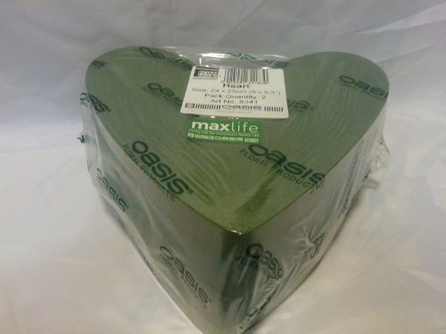 Lot de 2 blocs de mousse florale 22 cm