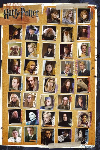Empire Merchandising GmbH Empire 349453 Poster Harry Potter 7 Les reliques de la mort 61 x 91.5 cm 5028486130955 (5028486130955)
