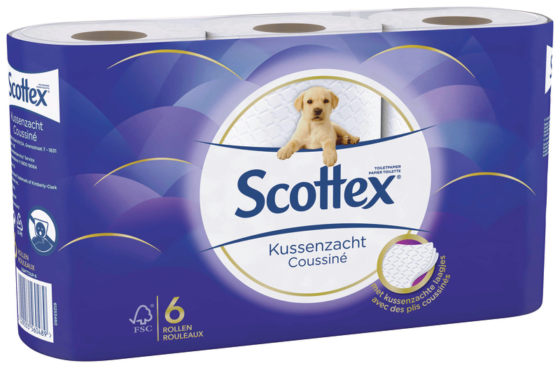 PAPIER HYGIÉNIQUE DESIGN X6 ROULEAUX SCOTTEX
