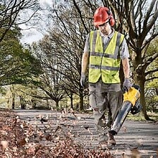 Souffleur sans fil DEWALT DCM562P1 18 V XR (1 x...