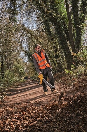 DEWALT Souffleur sans fil ni batterie DEWALT Pr...