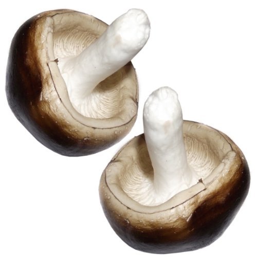 CBI Lot de 2 champignons artificiels en plastique