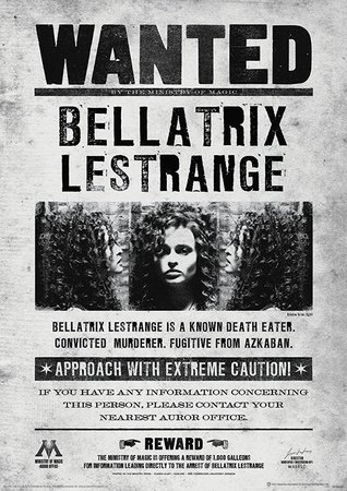 Harry Potter (Bellatrix Wanted Poster)