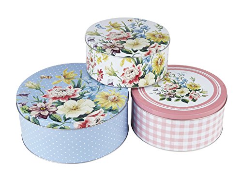 Ckt3671 boîte transport de gâteaux  fer blanc