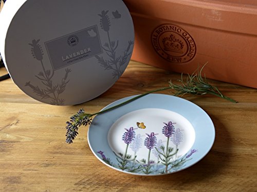 Royal botanic gardens kew lavande porcelaine fi...