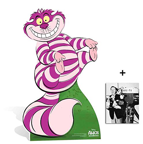 Fan Pack - Cheshire Cat de Alice In Wonderland ...