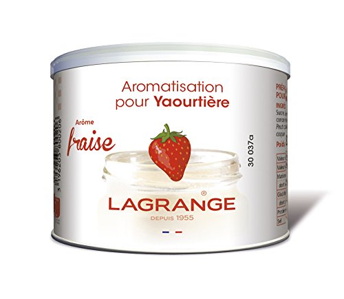 380020 aromatisation pour yaourtière fraise 125g