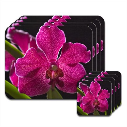 Orchidée tachetée d'Hawaï Magenta &feuilles Ver...