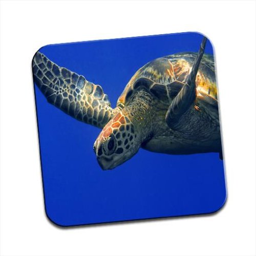 Sea Turtle Close Up simple Sous-verre