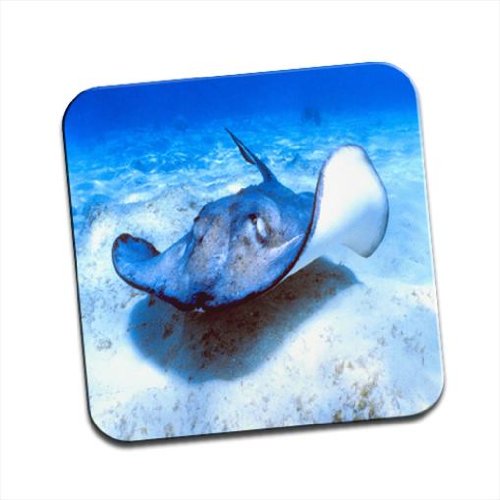 Stingray Swimming Underwater simple Sous-verre 5053724604035 Fancy A Snuggle