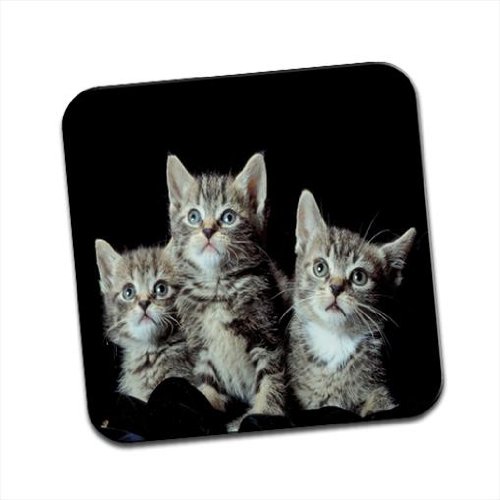 Famille chat gris Looking Up et peur simple Sous-verre 5053724604455 Fancy A Snuggle