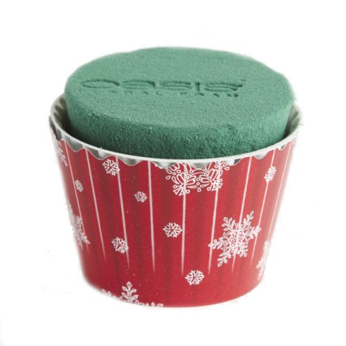 FloristryWarehouse bande de Oasis Cupcakes de N...