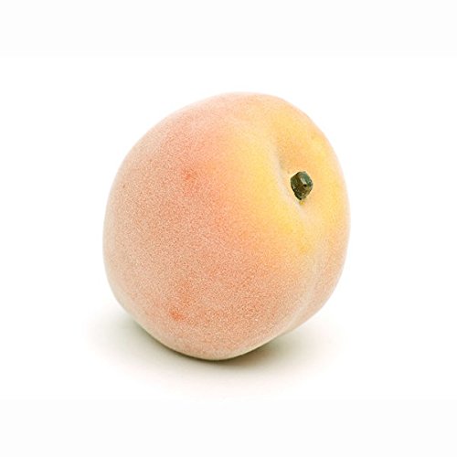 FloristryWarehouse bande de pêche artificiel fr...