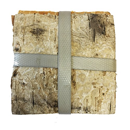 FloristryWarehouse bande de 10 cm (10,2 cm) car...